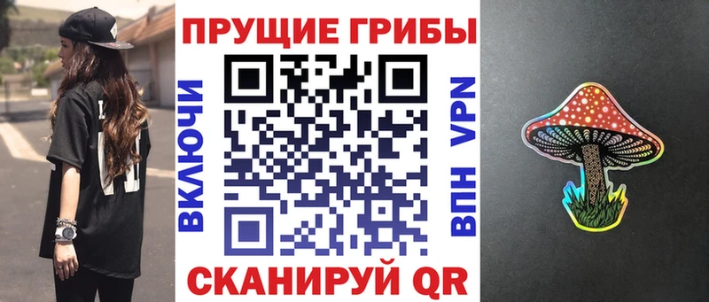 Галлюциногенные грибы Psilocybe  omg маркетплейс  Полевской 