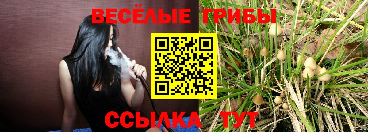 Галлюциногенные грибы Psilocybine cubensis  Вход с VPN  Полевской  Галлюциногенные грибы Psilocybine cubensis 
